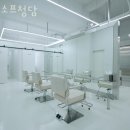 소프청담 이미지