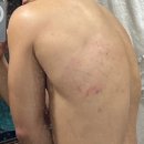 안양주짓수파크 | [운동] 주짓수파크 합동세미나