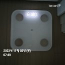 02 ~ 11. 06 일상 _여행/다시 제자리/어바웃펫/장기동 김포마디정형외과/을왕리/그대들 어떻게 살 것인가