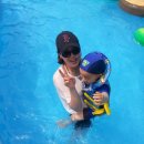 용인대 수영 태권도장 이미지