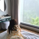 호텔서귀피안 | 제주도 숙박 서귀포 오션뷰 호텔 숙소 서귀피안 보래드 베이커스 조식 후기