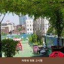 정원고시텔 - 성북구 동소문로 32 | 남영동고시원 파랑새 정원 고시텔 시설 깔끔 여서 추천하고 싶은 곳의 이용 비용 안내