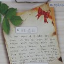 백옥치과의원 이미지