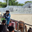 라온더마파크 | 제주 서쪽 아이랑 가볼만한 곳 라온 더마파크 내돈내고 공연 구경한 후기