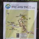 해인사 소리길 이미지