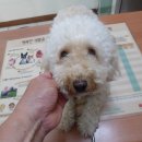 동방사우나 이미지