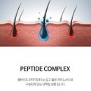 베스트스칼프 네이버블로그