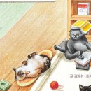 냥글냥글 이미지