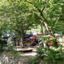 까치골식당 이미지