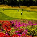 안강골프클럽 이미지