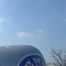 대한체육관 | 대한항공 점보스 남자배구 직관 후기(계양체육관)