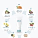캐터스 이미지