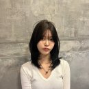 부산 화명동 덕천 미용실 추천 라트리스타우드 중단발 레이어드 컷 매트 브라운 가온