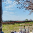 아주체육공원 이미지