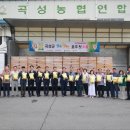 햇쌀