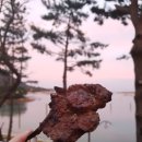 가고파 펜션 이미지