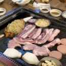 돈나무삼겹살 이미지