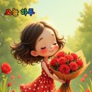 오늘,하루 Daum카페