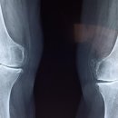 본바이오 이미지