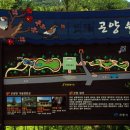 곤양종합시장 이미지