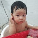 리틀램스테이 휴양펜션 이미지