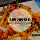 [오송] 오송 양꼬치집 추천 하얼빈양꼬치 후기