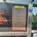 버스정류장_목사고을시장 | 유홍준과 함께 했던 제주도 답사기(와락 게스트 하우스 - 김녕사굴 - 제주감녕미로공원 - 만장굴...