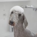 스위프트살롱 이미지