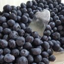 안하농장 이미지