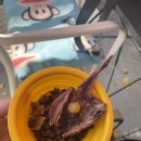 운중로225번길(판교공원로) 이미지