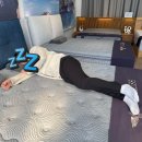 동구릉로 459번길 이미지