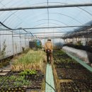 고북농장 이미지