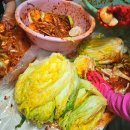 가전농장 | 매년 김장을 책임지는 가령산 농장 괴산 절임배추 20kg 솔직 후기!