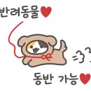 루249 이미지