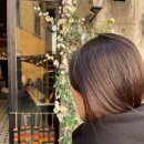 바이더웨이(남부점) | 피렌체 길거리 와인, 너무 맛있어🍷이탈리아 여행의 참맛(피렌체->볼로냐 플릭스버스)