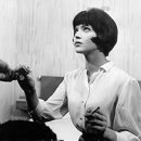 STAY PET SHOP 이미지