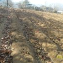 안성면070 이미지