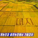 종로-현장-종로-세-203 이미지