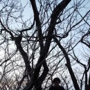 도상목장 이미지