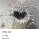 에이온 이미지