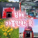 마사로 | 김해 와인동굴 낙동강레일파크 아이들과 가볼만한곳 금계국 방문후기