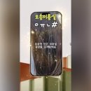 산단1로 | 청주 오송 2산단 미용실 / 두피 스켈링 윤샵 후기