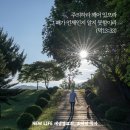 * ＜리더십＞ 스페인 최악의 홍수 참사 217명 사망 - 조태성 이미지