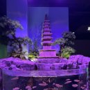 충주어린이집 | 충주 아쿠아리움 입장료 무료 후기ㅣ물고기, 토끼, 수달