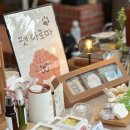 천연DIY체험 이미지
