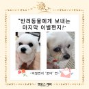 무지개케어 이미지