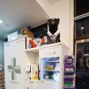 참약사약국 이미지