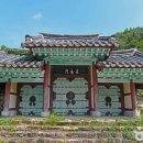 고산2길 50 티스토리