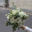 아임내츄럴