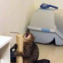 몽글몽글 이미지